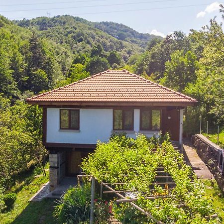 Holiday Home Lyubovo Gabrovo Exterior photo